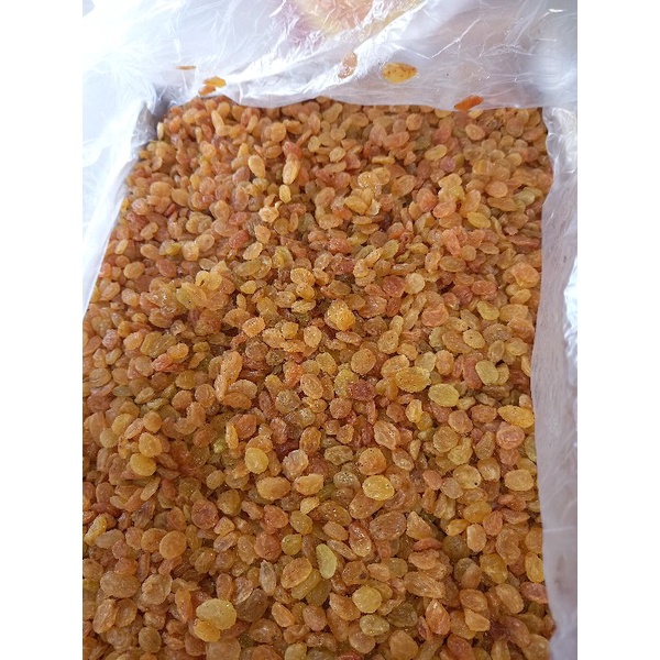 kismis manis kecil / kismis kecil 10kg