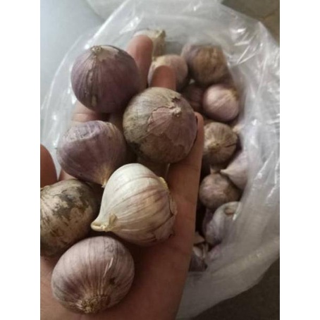 

RECOMENDED Bawang putih tunggal 1kg BESAR import ♔ 895