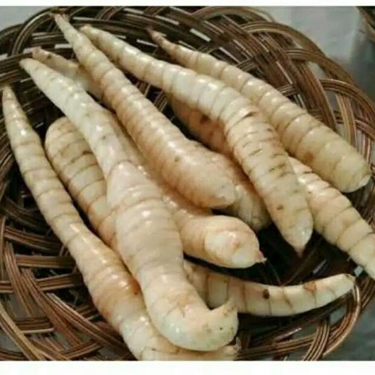 

[PRODUK WIYVN] TEPUNG GARUT/PATI ASAM LAMBUNG/ANGKRIK /ARROWROOT 500Gr 0CJ