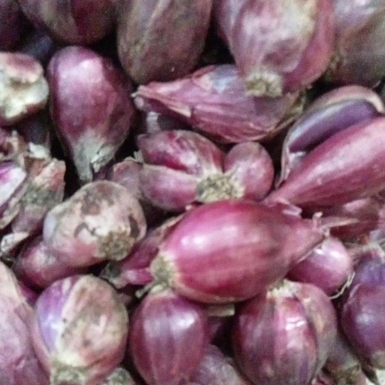 

Hot Prodack 1.1 BAWANG MERAH BREBES UKURAN SEDANG 1 KG ,.,.,.,.,.,