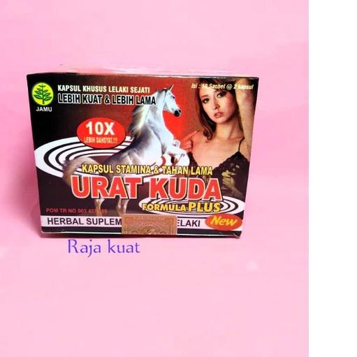 

✒✒ urat kuda 10 x kapsul joss 10 saset spesial