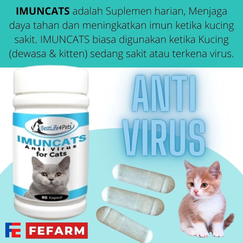 Imun Booster Anti Virus Kucing Trnsfer Factor Capsule FEFFAARM