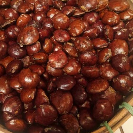 

PROMO MURAH 1kg Jengkol mentah tua ✹ 888
