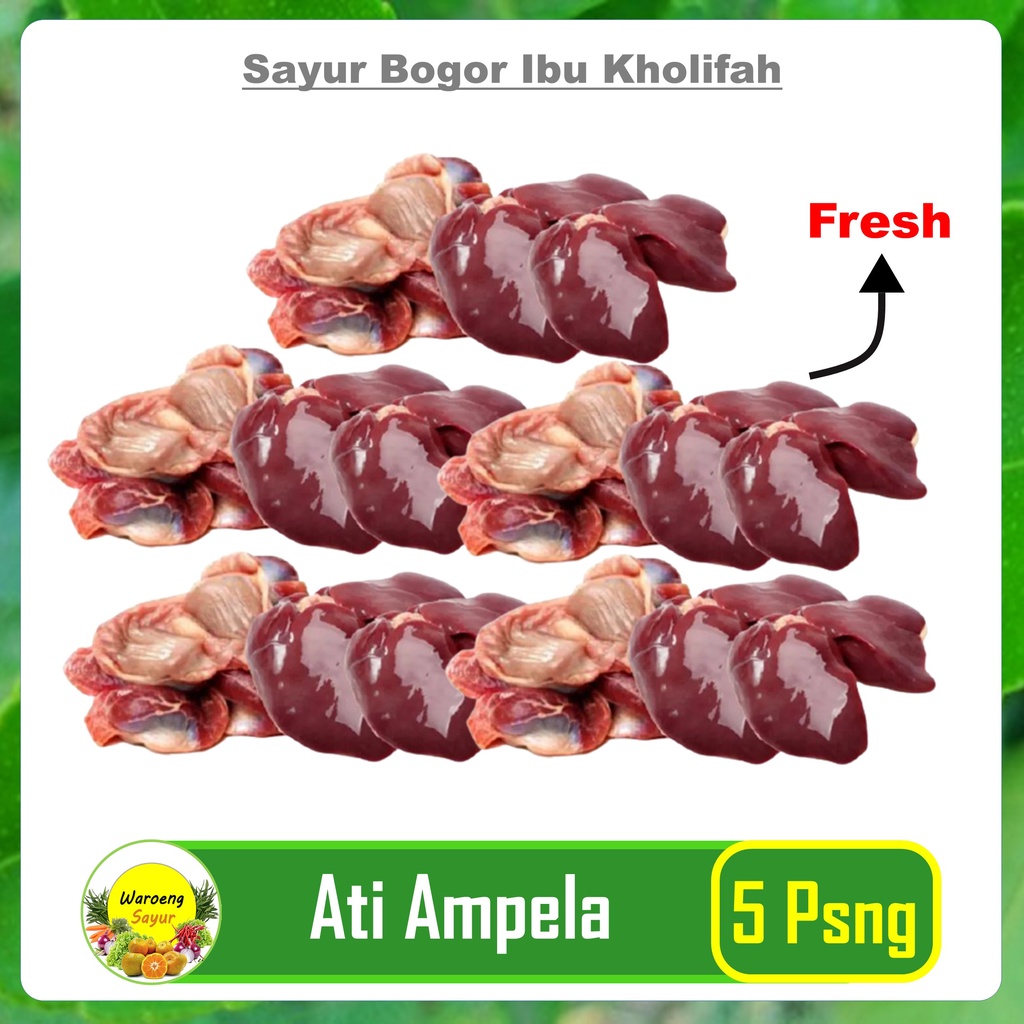 

Ati Ampela Ayam 5 Pasang Segar Daging Segar Bogor