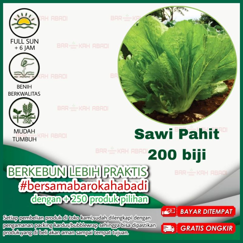 200 Benih Sawi Pahit Majapahit Sayuran Unggul Bintang Asia - Bibit Tanaman Sayur Seribuan