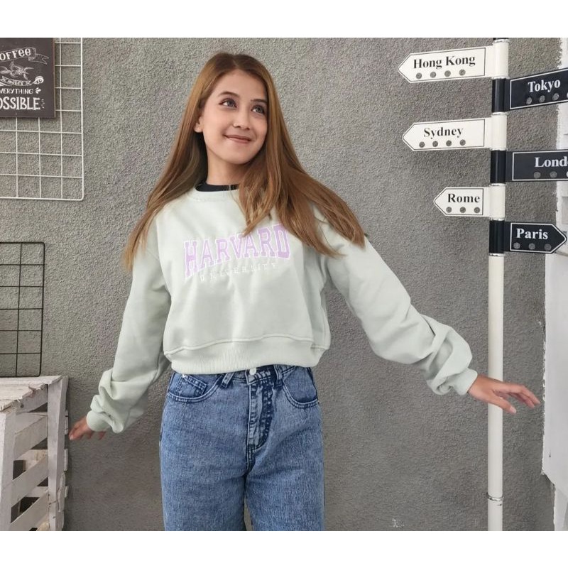 Sweater crop smile wanita/sweater cewek/sweater pendek lucu murah/sweater tebal buludru