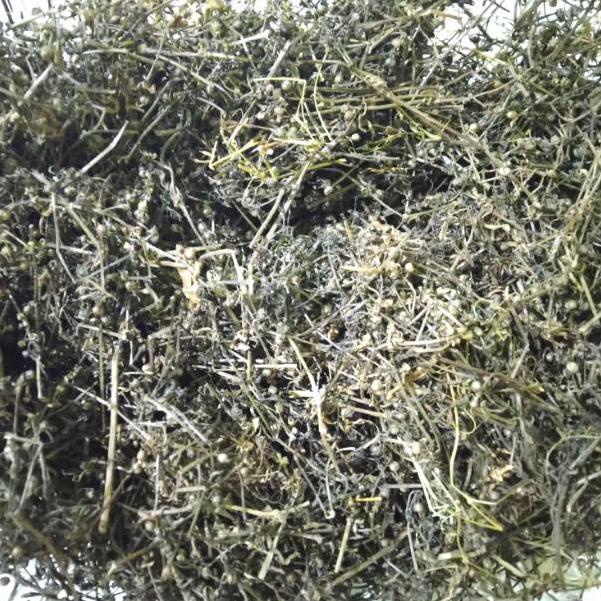 

∞ Rumput Mutiara Kering Asli 1kg ⇶