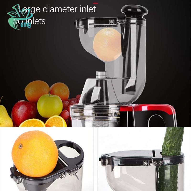 SLOW JUICER 99% Fresh Fruit Juice Rpm 65 150w Fruit Extractor Blender Slow Chewing Cold Press Juicer