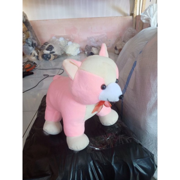 boneka kucing cantik pelboa ukuran L