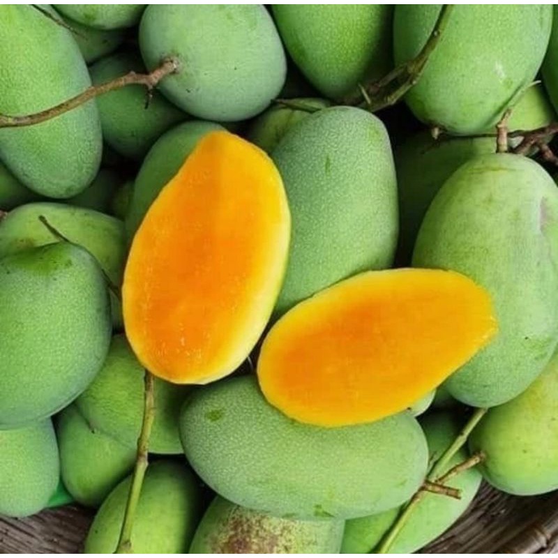 

Mangga Arumanis Fresh