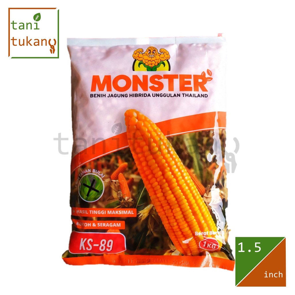 KS 89 MONSTER - 1 kg | Benih Jagung Hibrida Tahan Bulai