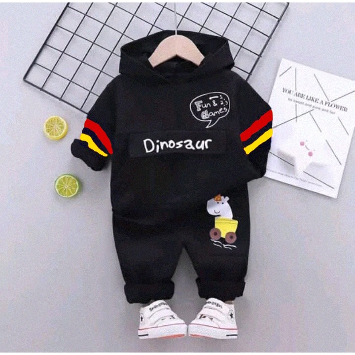 Baju Anak Laki Laki Setelan Hoodie Anak 0 - 6 Tahun