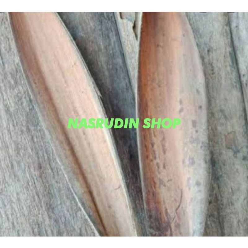 

[Fresh] MANCUNG KELAPA KERING 1KG ISI (2-4 BIJI ) UNTUK KERAJINAN