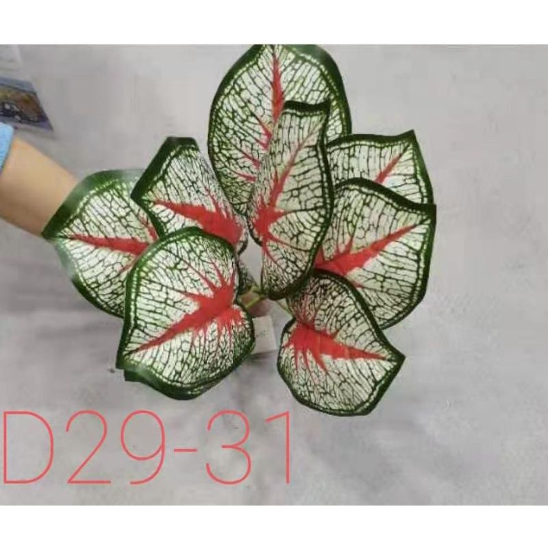 TANAMAN TALES/TANAMAN HIAS/tanaman hias/ARTIFICIAL