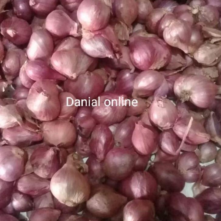 

ㅂ Bawang Merah Probolinggo Ukuran Tanggung 1kg ㅼ