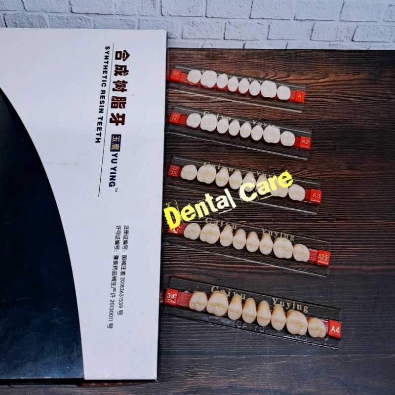 Gigi Palsu CAIYU Ecer Geraham Atas/Gigi Tiruan Geraham Atas