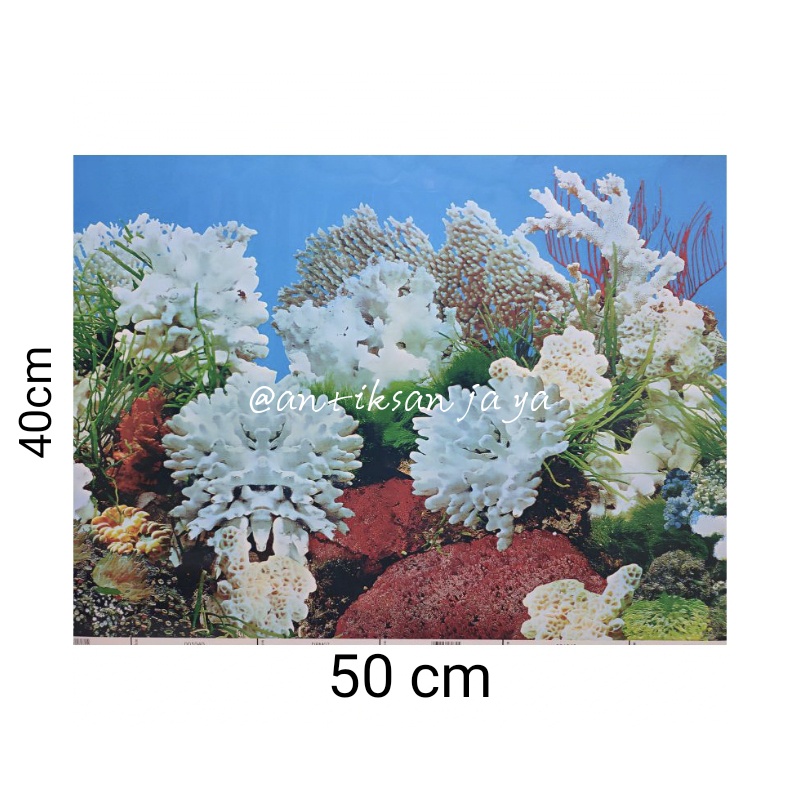 Background gambar aquarium 40cm /walpaper aquarium walllpaper aquarium background aquarium backgroun