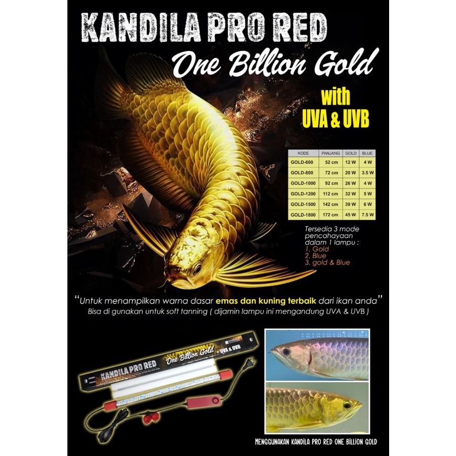 KANDILA PRO RED ONE BILLION GOLD 800 Lampu Tanning Ikan Arwana Arowana LED Taning Aquarium