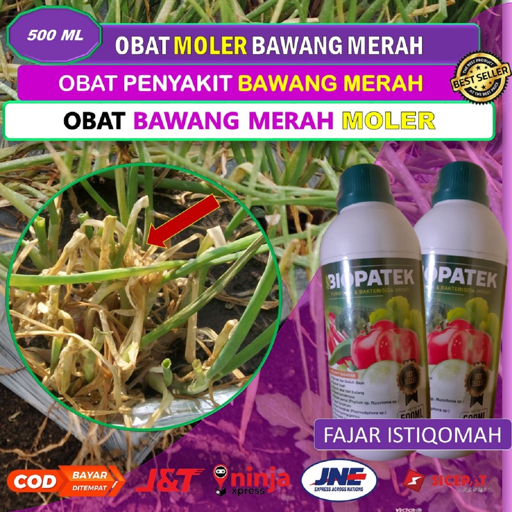TERLARIS BIOPATEK fungisida hayati obat layu pada tanaman bawang (500 ML) - obat layu fusaruim pada 