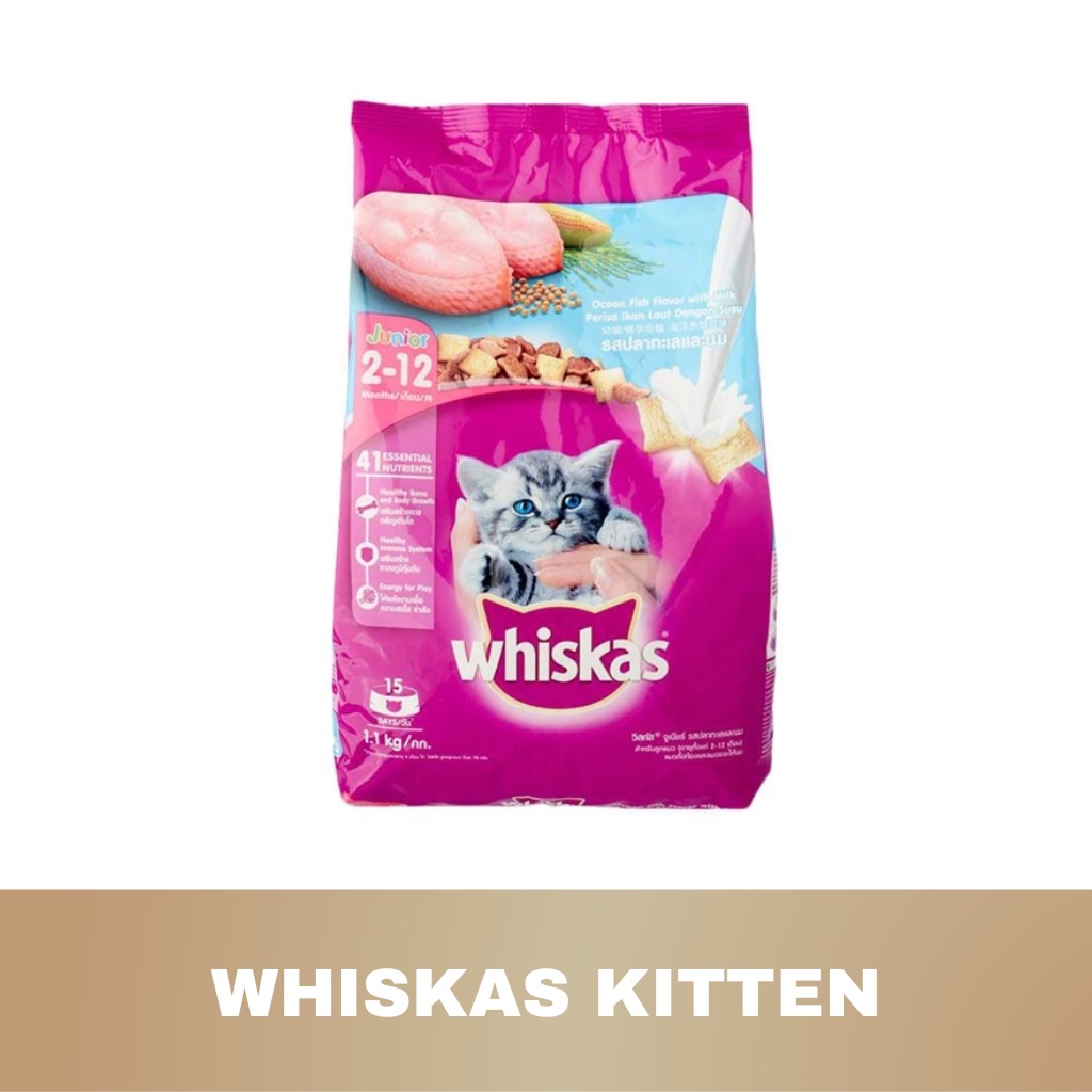 WHISKAS JUNIOR MAKANAN KUCING KERING 450 GRAM MAKANAN ANAK KUCING UNTUK UMUR 2-12 BULAN