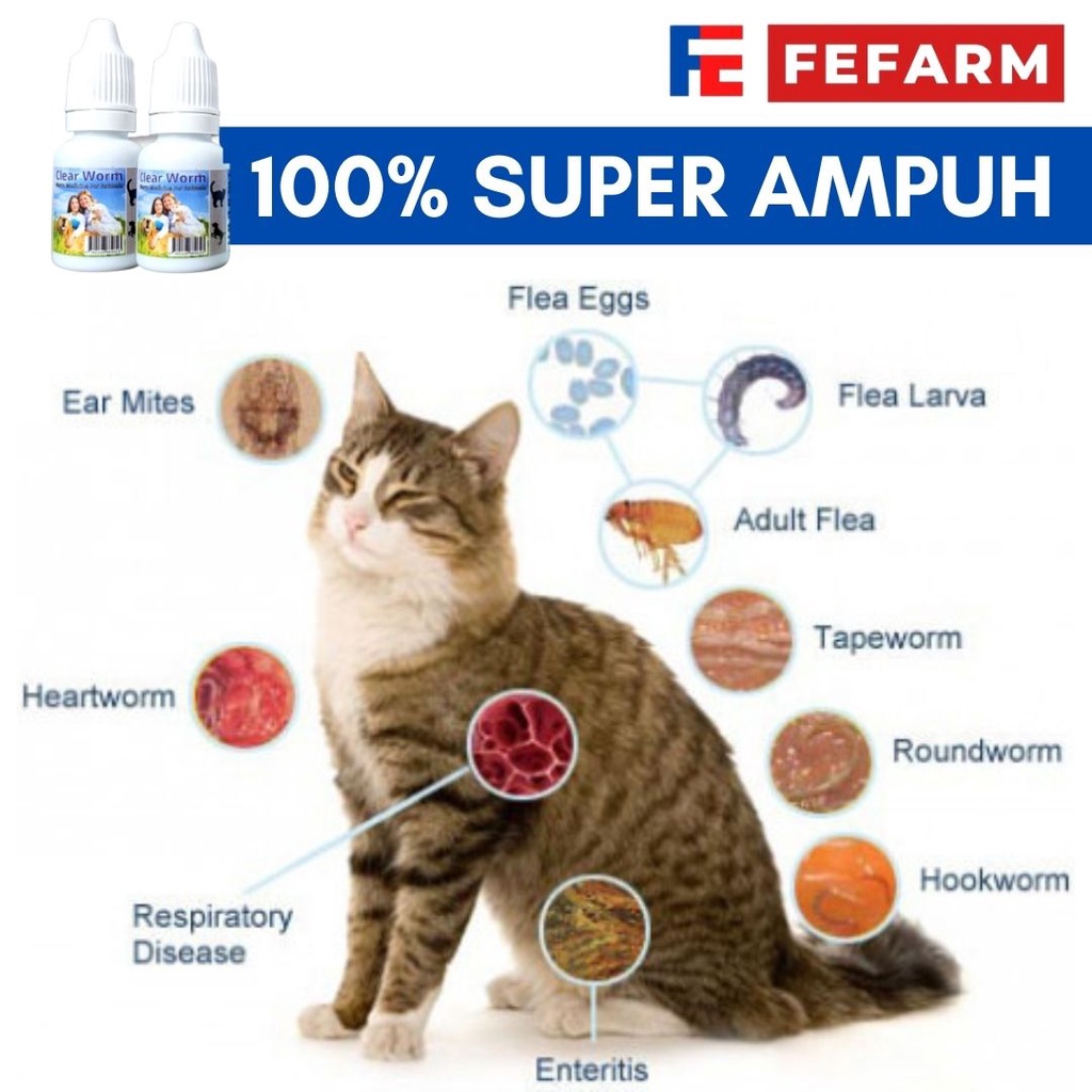 Obat Cacing Kucing Anjing Kelinci Clearworm FEFARM