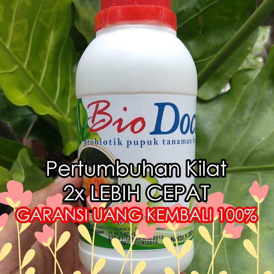 Best Seller Pupuk Anggrek Cepat Berbunga, Pupuk Anggrek Terbaik, Pupuk Anggrek Dekastar, Tercepat 