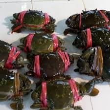 

Kepiting Hitam / Ketam Hidup 1 kg (1000gr)