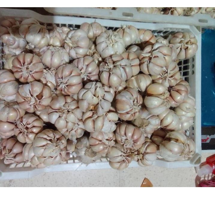 

❂ bawang putih1kg super besar premium best seller ぉ