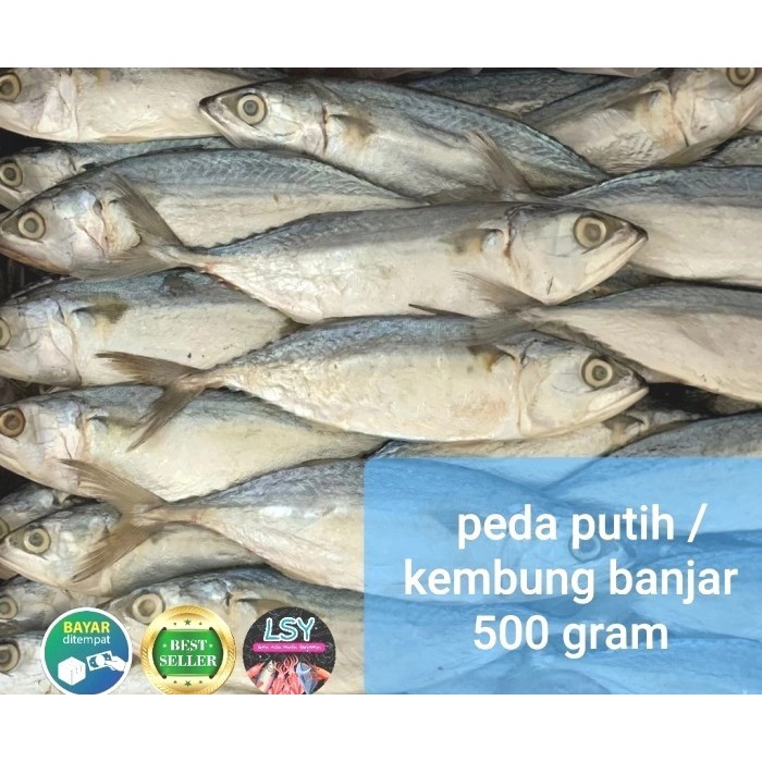 

ikan asin peda putih super/kembung banjar 500gr