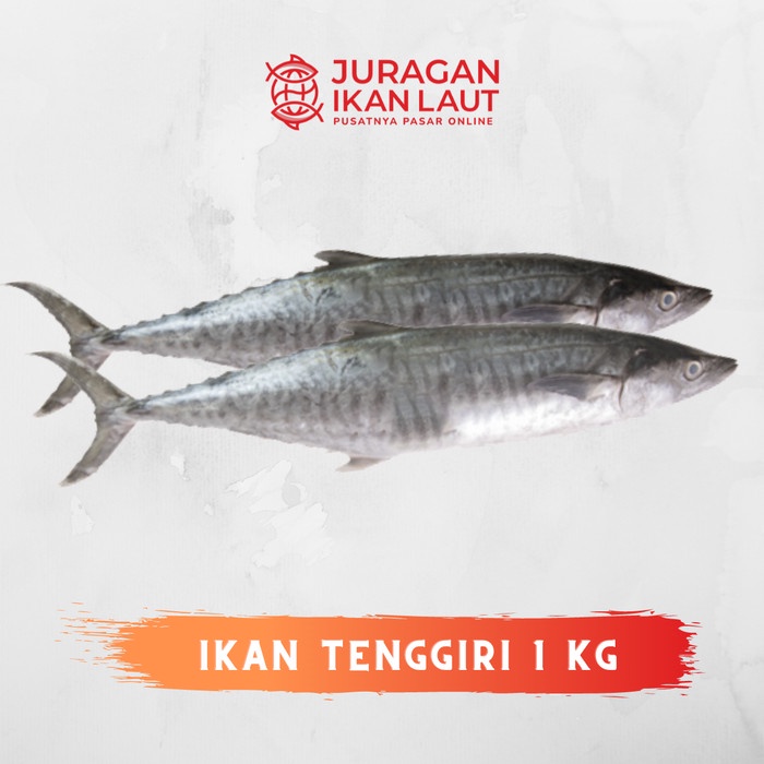 

Ikan Tenggiri Super Segar Fresh Berkualitas - 1 Kilogram JABODETABEK