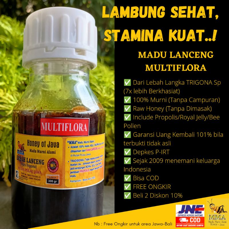 

Honey Of Java - Madu Murni Alami TRIGONA Klanceng Asli Liar 100%