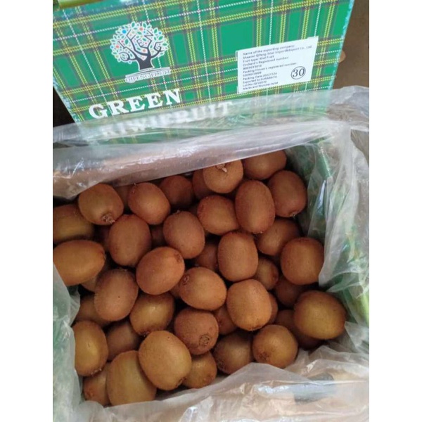 

Buah kiwi hijau / green kiwi 1kg fresh