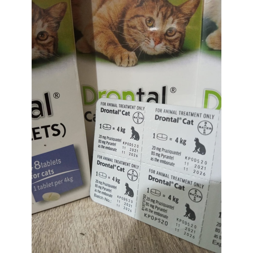 Obat Cacing Kucing Drontal Cat 1 Tablet ASLI ORIGINAL EXP 2026