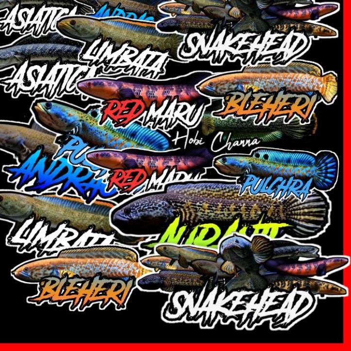 

╔║╗ 24pcs stiker channa