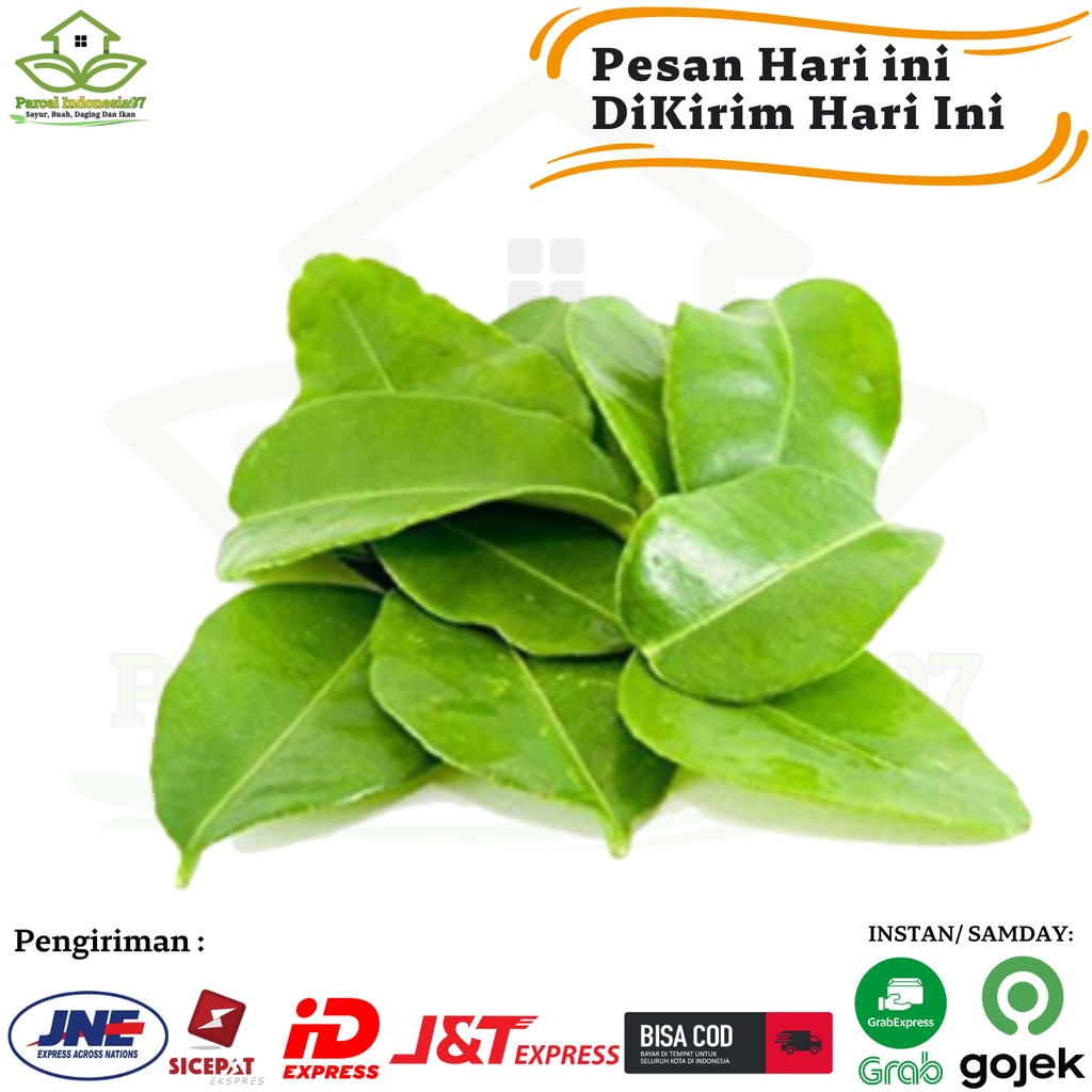 

Daun Jeruk per Pack