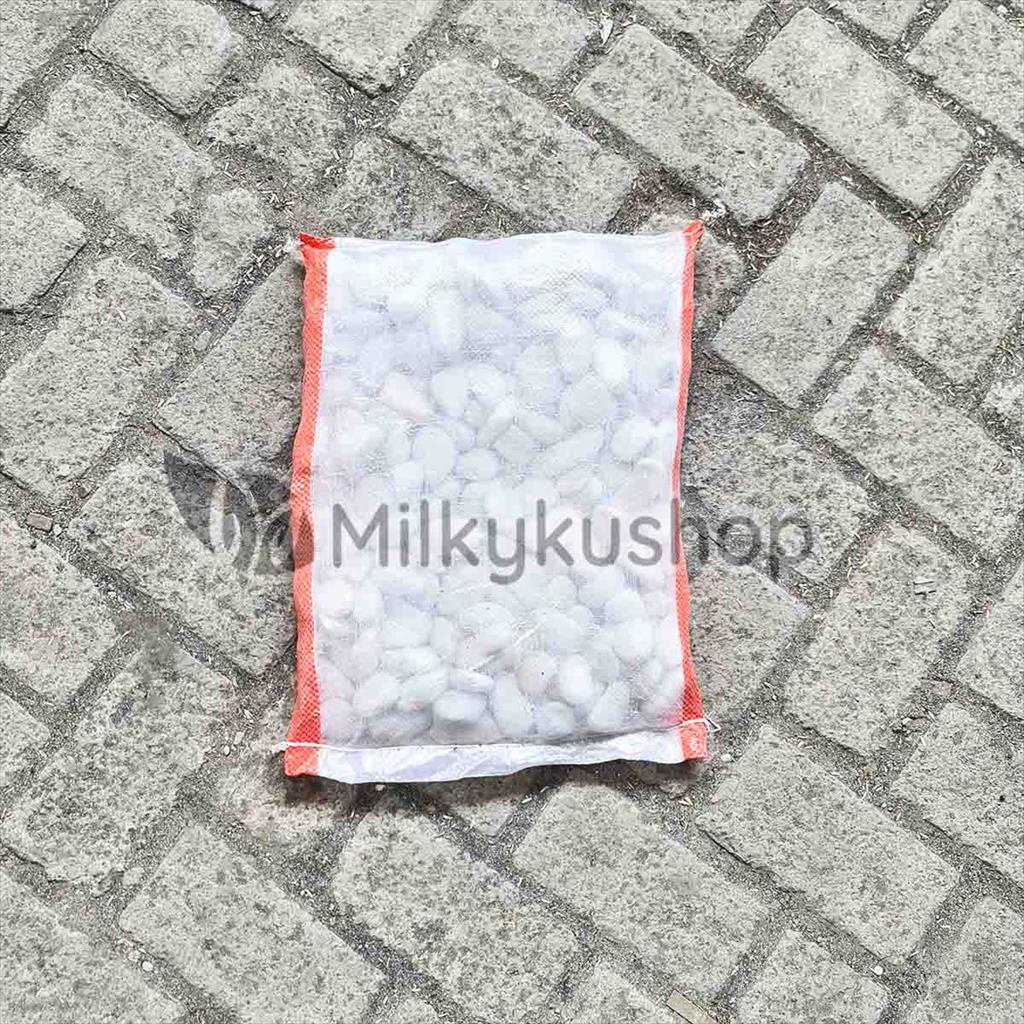 BATU KORAL PUTIH SEDANG - HIASAN TAMAN AQUASCAPE VIA GOSEND GRAB