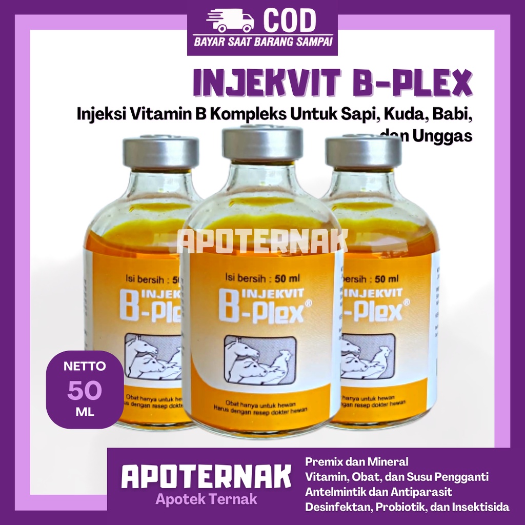 INJEKVIT B-PLEX 50 mL Inj | Tingkatkan Produktivitas dan Imun Hewan B Komplek B Complex | MEDION | Apoternak