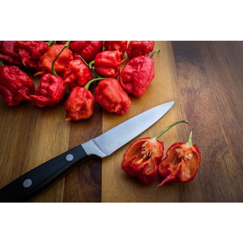 

carolina reaper original