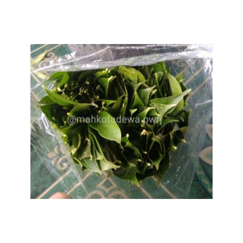 

daun mahkota dewa segar 50pcs/jamu daun mahkota dewa segar
