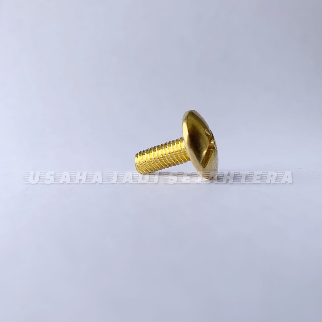 Baut Body Yamaha 6 x 16 Gold