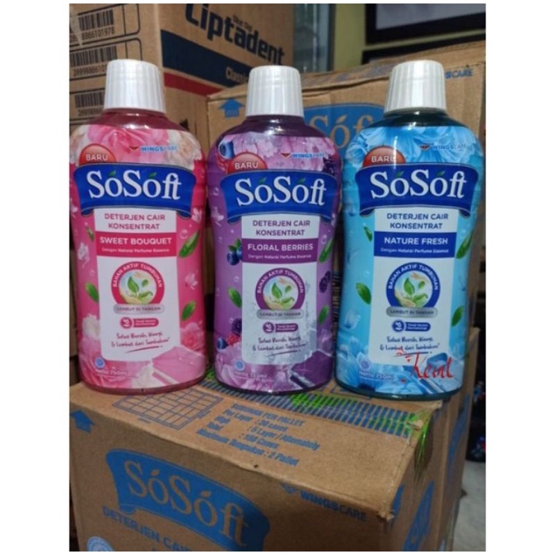Sosoft So Soft Deterjen Cair Konsentrat Liquid Detergent Detergen Nature Fresh Fresh Bouquet 1 Dus K