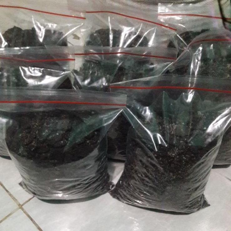 

(H-L-E-☎) Bubuk Oriio / Oweo crumb tambahan toping kiloan berat 1kg premium