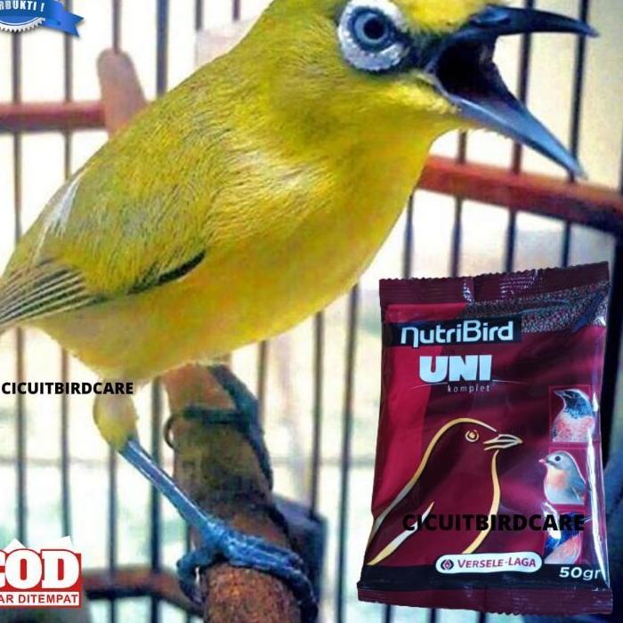 Star Seller paket nutribird saset dan dextro 87 pleci gacor