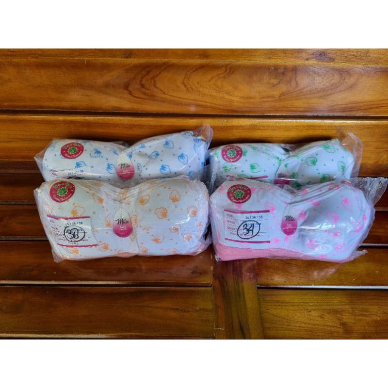 Bra/Bh Remaja Bunga Lusinan 12pcs