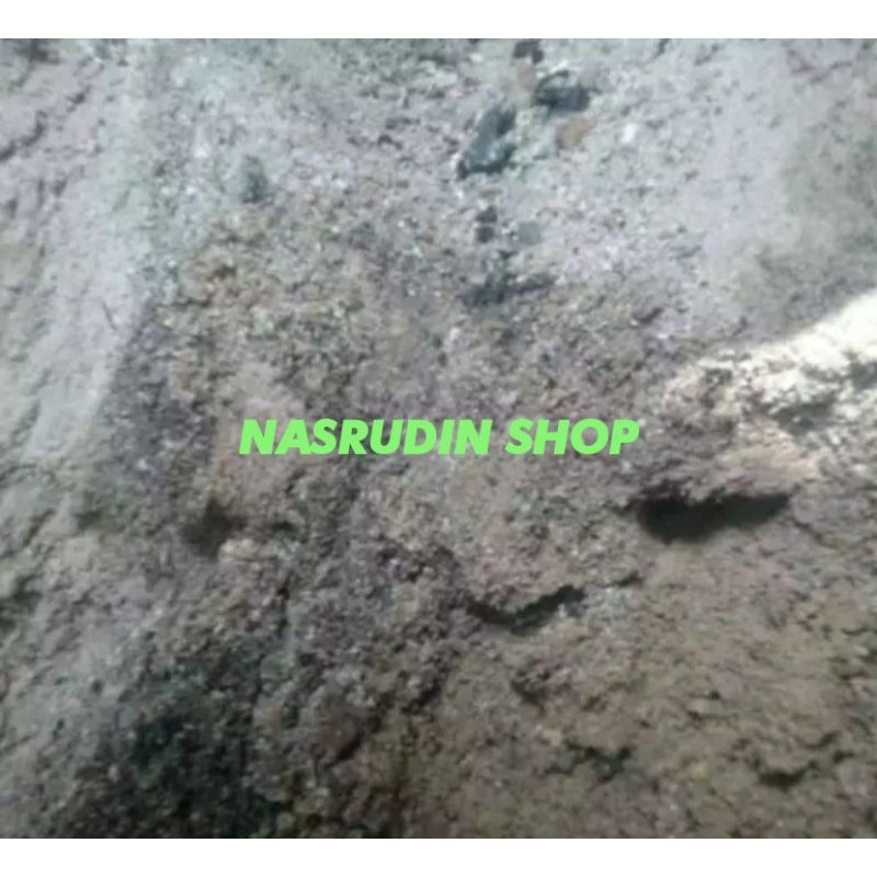 

[Fresh] ABU KAYU ABU BAKAR 1KG