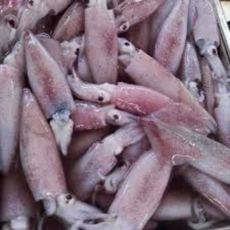 

CUMI SERO FRESH MURAH BANDUNG / SEAFOOD