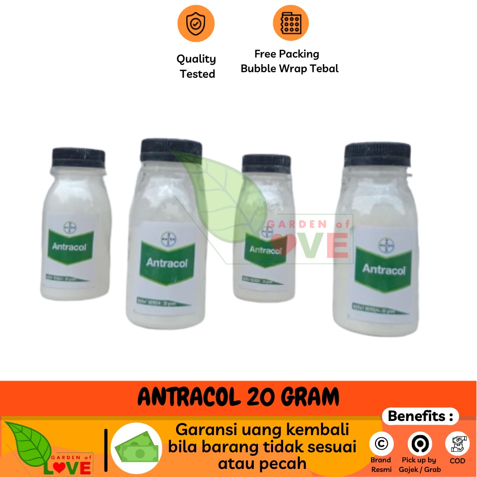 Antracol Fungisida Botol 20 Gram Obat Anti Jamur Pada Tanaman Pembasmi Infeksi Tanaman Jamur, Bercak