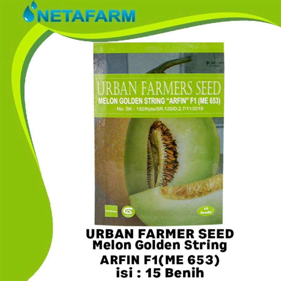 Benih Biji Melon Golden String ARFIN F1 Urban Farmers Seed - 15 Seed