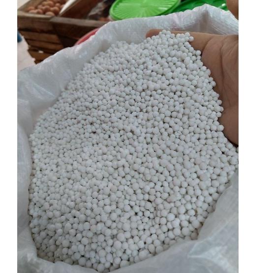 

Diskon 2023 Sagu Mutiara Putih Super/ Biji Mutiara Putih Super 250 gr Terbaru