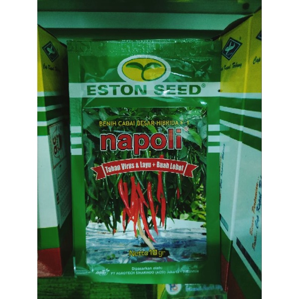 Cabe Besar Napoli F1 Cabe Besar Tahan Virus dan Layu Kemasan 10gr Original Pabrik Eston Seed